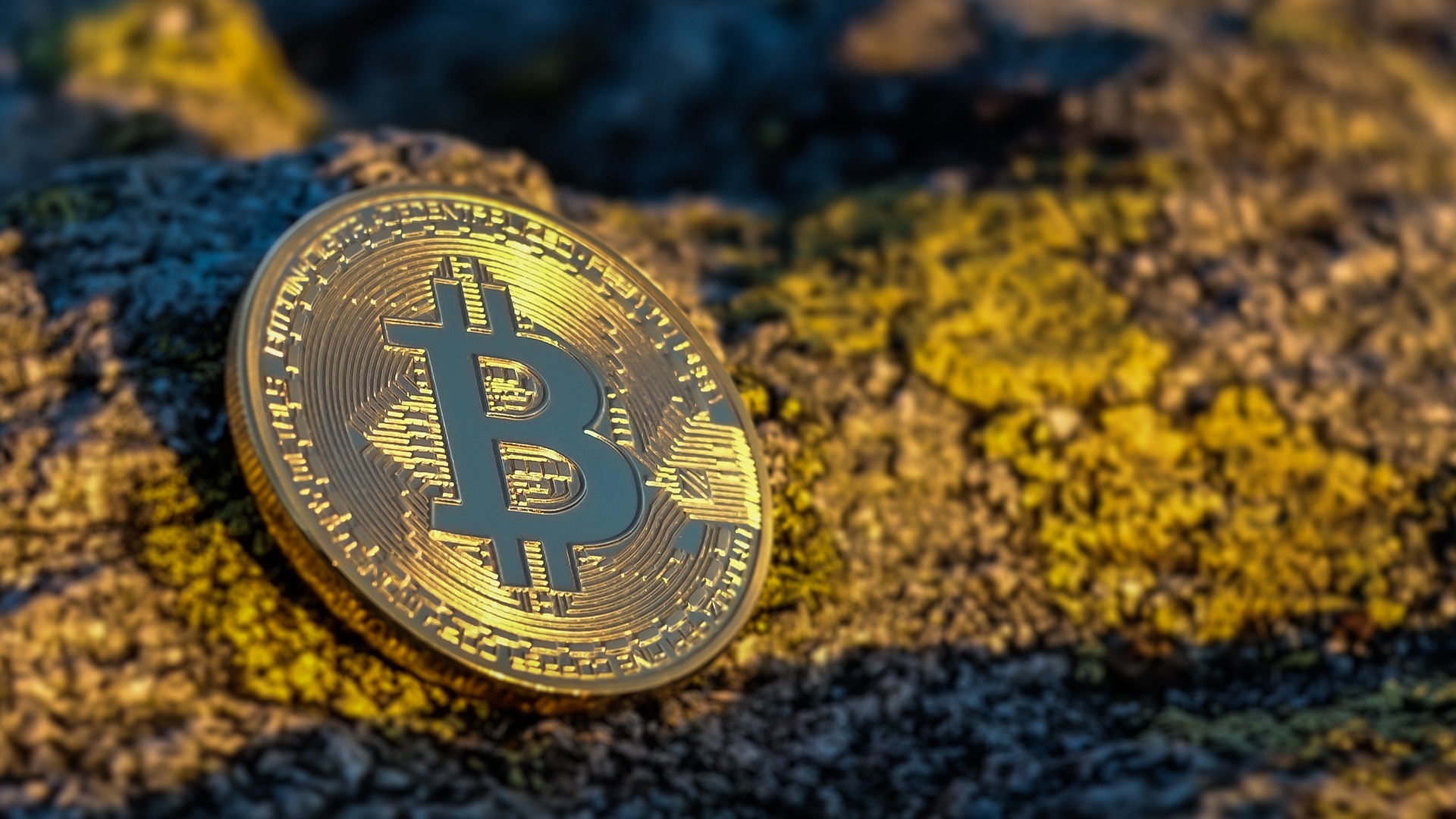 Criptomoedas: O Que São, Como Funcionam e Como Investir